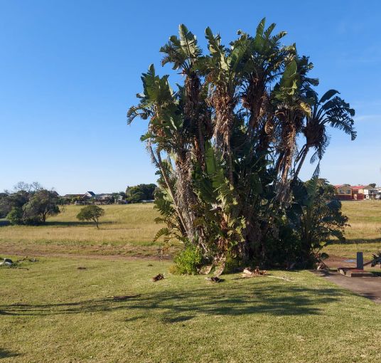 2 Bedroom Property for Sale in Kaysers Beach Eastern Cape